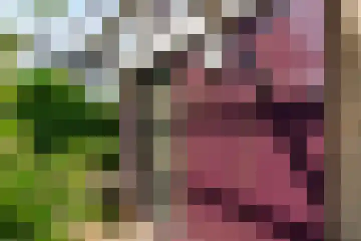 Ambachtsring 15 Bunnik thumbnail 4
