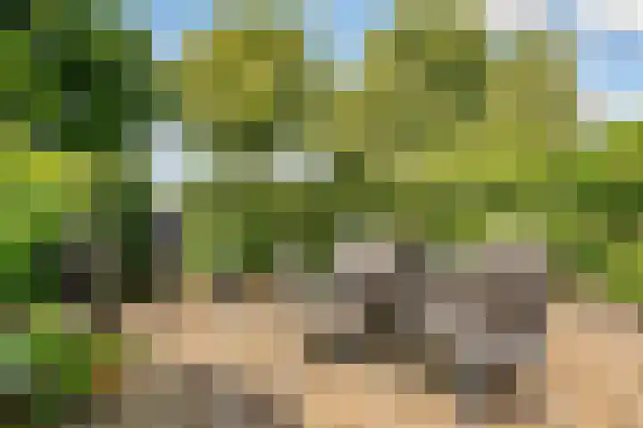 Ambachtsring 15 Bunnik thumbnail 40