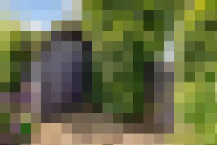 Ambachtsring 15 Bunnik thumbnail 41