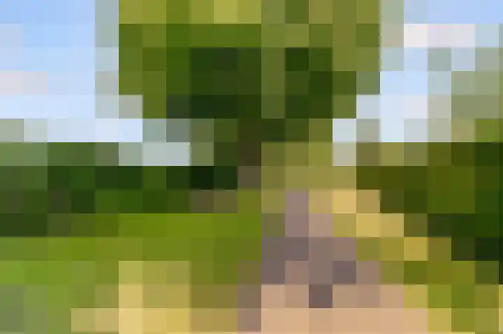 Ambachtsring 15 Bunnik thumbnail 43