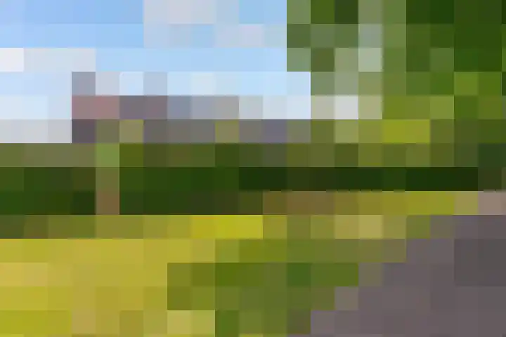 Ambachtsring 15 Bunnik thumbnail 44