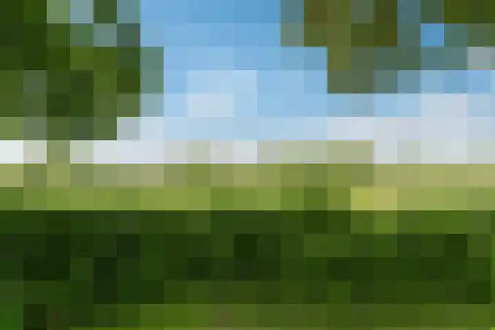 Ambachtsring 15 Bunnik thumbnail 45