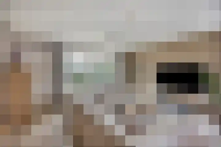 Ambachtssingel 31 Vlodrop thumbnail 11