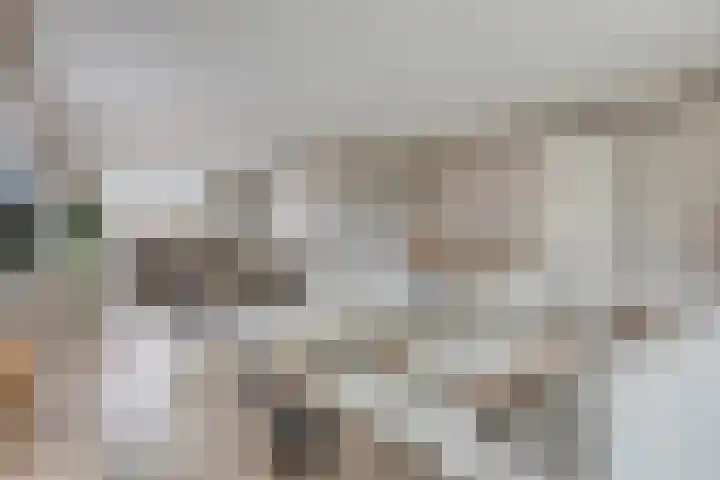 Ambachtssingel 31 Vlodrop thumbnail 13