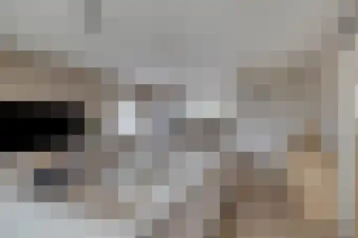 Ambachtssingel 31 Vlodrop thumbnail 14