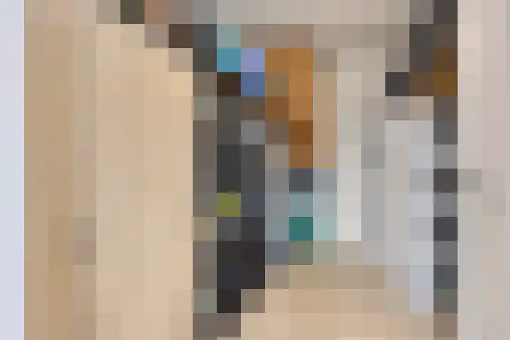 Ambachtssingel 31 Vlodrop thumbnail 19