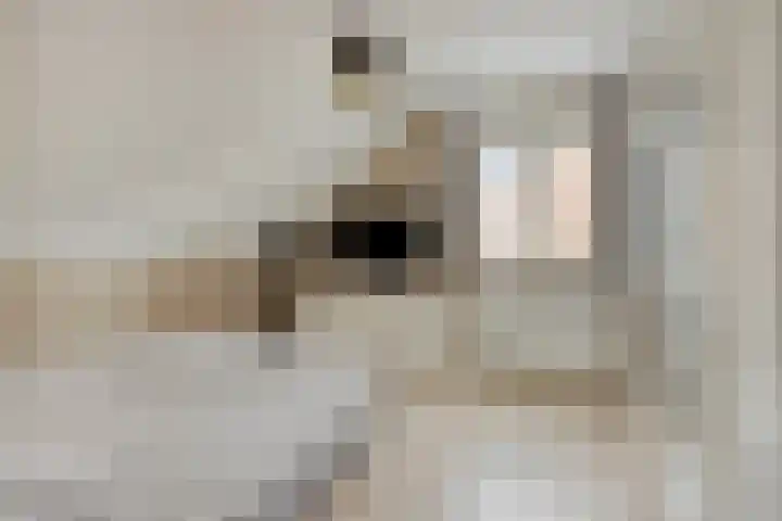 Ambachtssingel 31 Vlodrop thumbnail 23