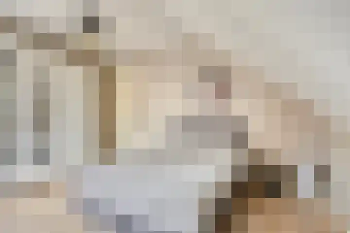 Ambachtssingel 31 Vlodrop thumbnail 24