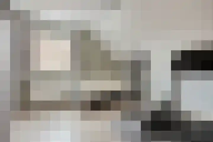 Ambachtssingel 31 Vlodrop thumbnail 25