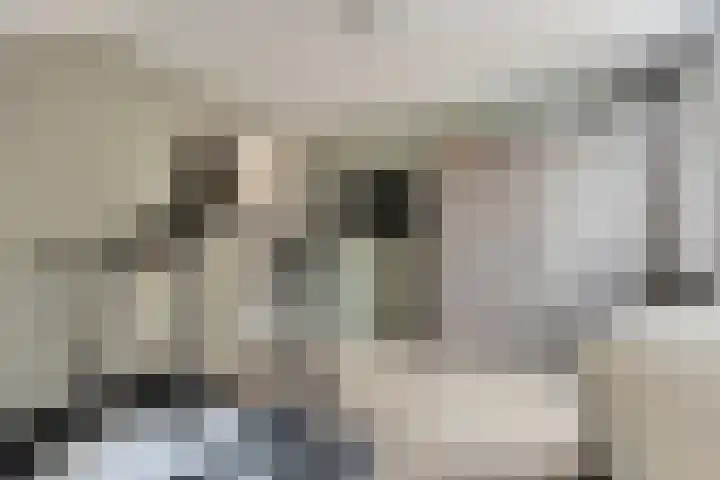 Ambachtssingel 31 Vlodrop thumbnail 26