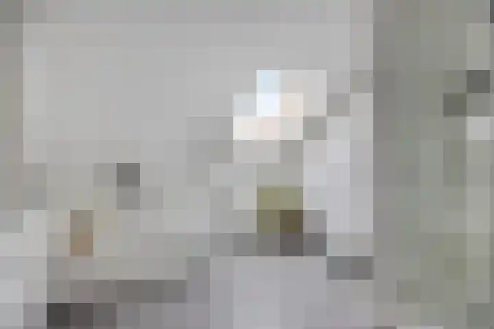 Ambachtssingel 31 Vlodrop thumbnail 27