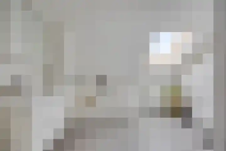 Ambachtssingel 31 Vlodrop thumbnail 28