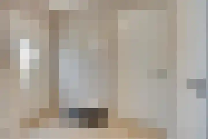 Ambachtssingel 31 Vlodrop foto 3