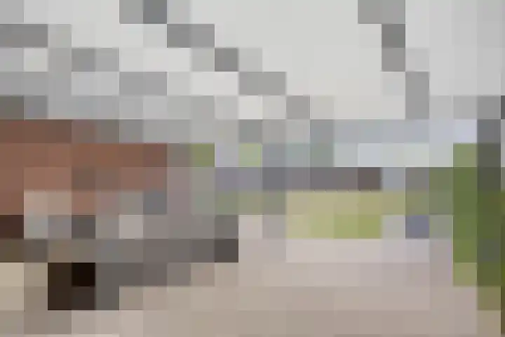 Ambachtssingel 31 Vlodrop thumbnail 31