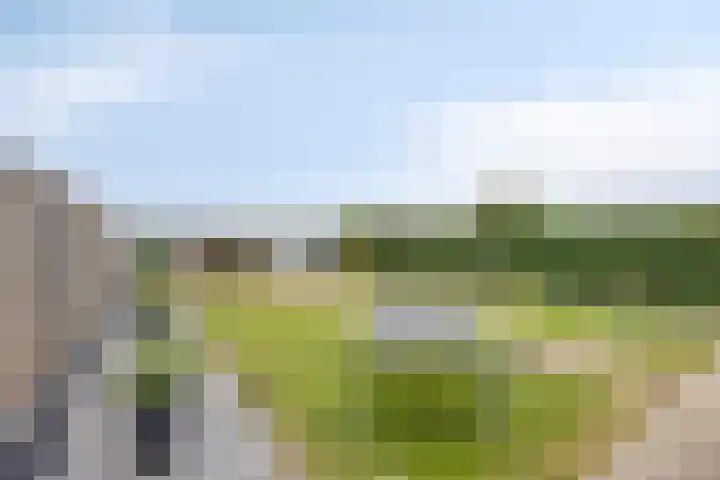 Ambachtssingel 31 Vlodrop thumbnail 33