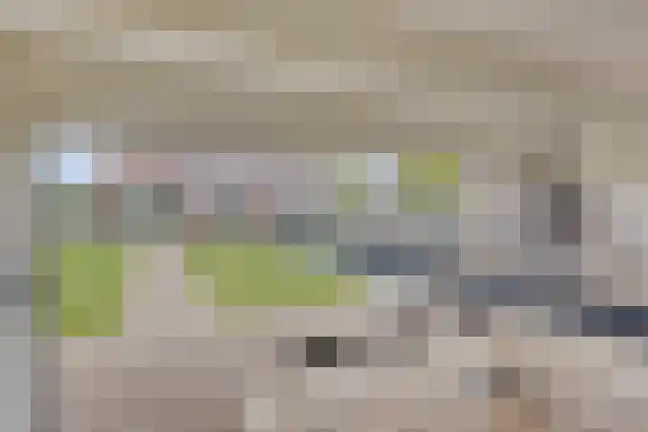 Ambachtssingel 31 Vlodrop thumbnail 37