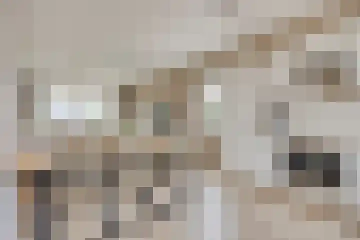 Ambachtssingel 31 Vlodrop thumbnail 6