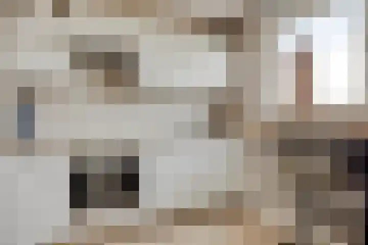 Ambachtssingel 31 Vlodrop thumbnail 7