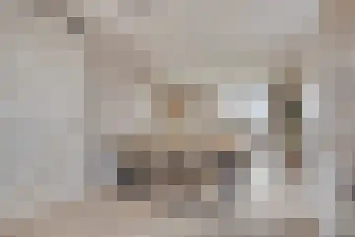 Ambachtssingel 31 Vlodrop thumbnail 9