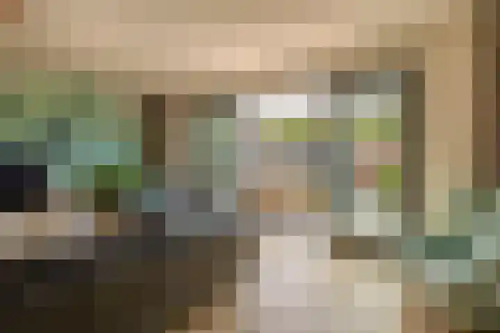 Ambachtssingel 74 Zevenhuizen thumbnail 10