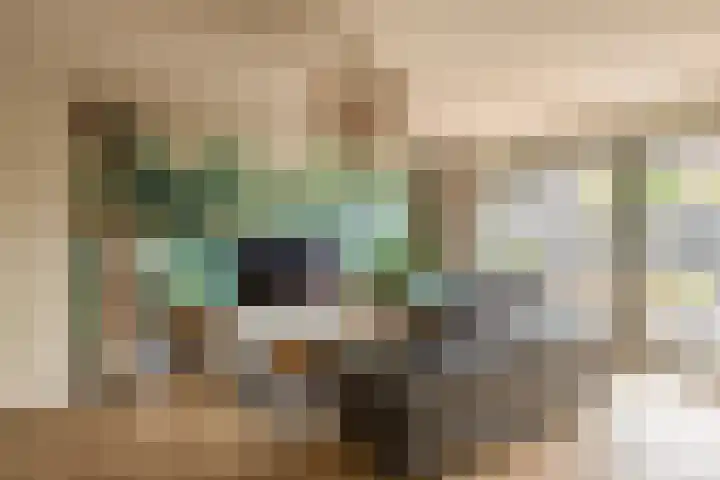 Ambachtssingel 74 Zevenhuizen thumbnail 11