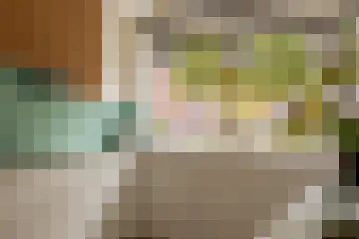 Ambachtssingel 74 Zevenhuizen thumbnail 16