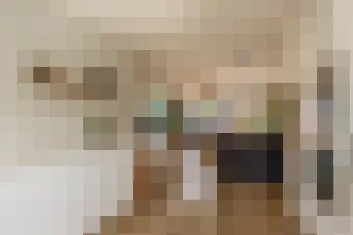 Ambachtssingel 74 Zevenhuizen thumbnail 18