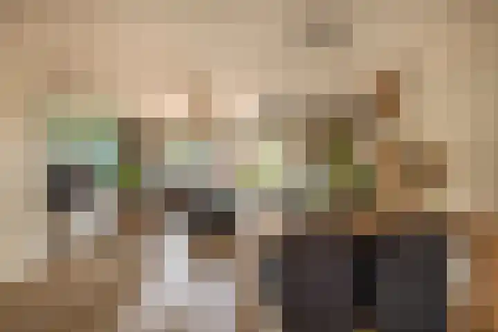 Ambachtssingel 74 Zevenhuizen thumbnail 19