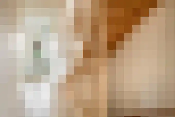 Ambachtssingel 74 Zevenhuizen thumbnail 20