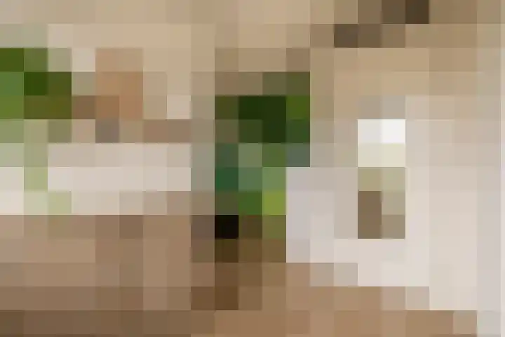 Ambachtssingel 74 Zevenhuizen thumbnail 21
