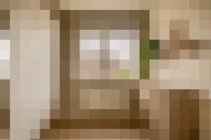 Ambachtssingel 74 Zevenhuizen thumbnail 22