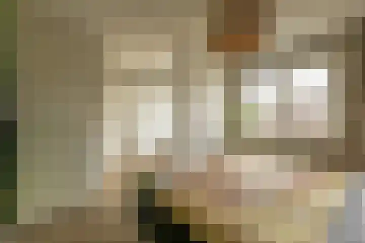 Ambachtssingel 74 Zevenhuizen thumbnail 25