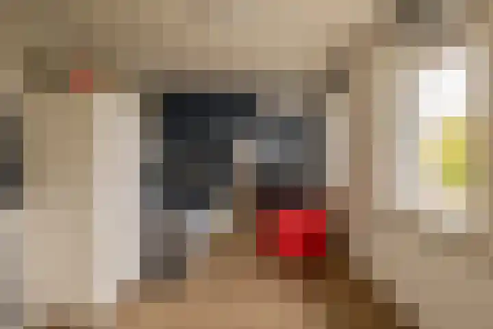 Ambachtssingel 74 Zevenhuizen thumbnail 26