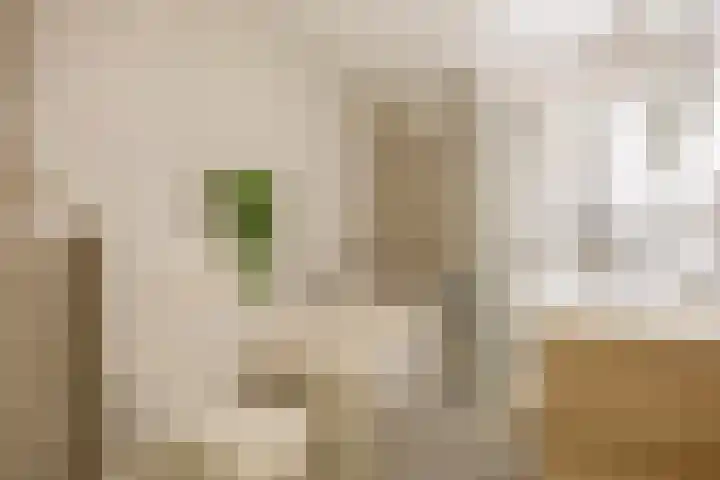 Ambachtssingel 74 Zevenhuizen thumbnail 29
