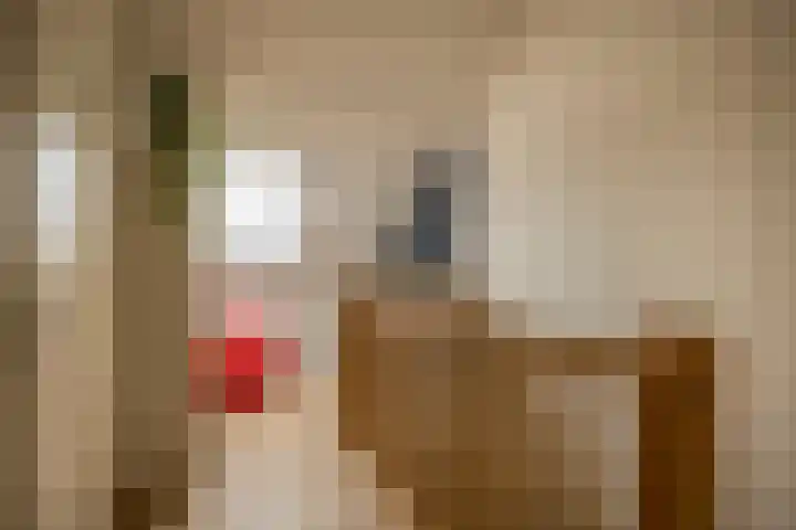 Ambachtssingel 74 Zevenhuizen thumbnail 33