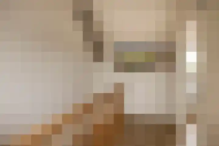 Ambachtssingel 74 Zevenhuizen thumbnail 34