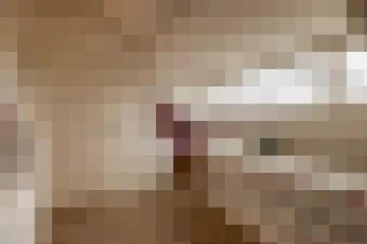 Ambachtssingel 74 Zevenhuizen thumbnail 36