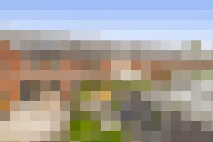 Ambachtssingel 74 Zevenhuizen thumbnail 37