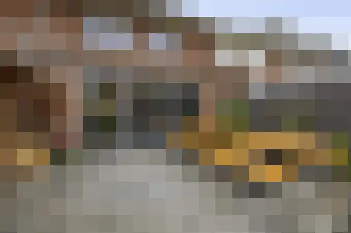 Ambachtssingel 74 Zevenhuizen thumbnail 38