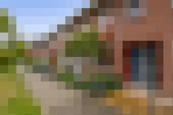 Ambachtssingel 74 Zevenhuizen thumbnail 4