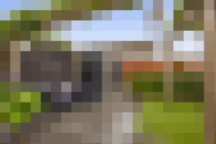 Ambachtssingel 74 Zevenhuizen thumbnail 40