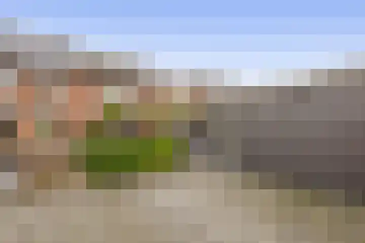 Ambachtssingel 74 Zevenhuizen thumbnail 41