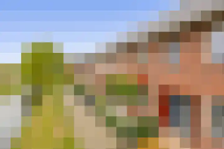 Ambachtssingel 74 Zevenhuizen thumbnail 44