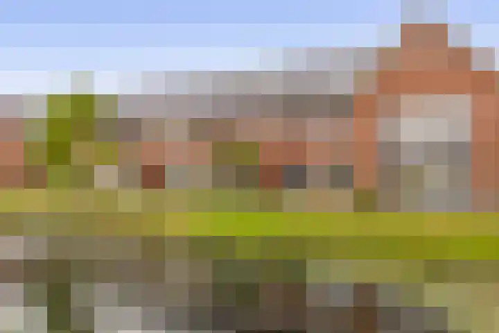 Ambachtssingel 74 Zevenhuizen thumbnail 45