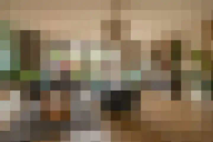 Ambachtssingel 74 Zevenhuizen thumbnail 9