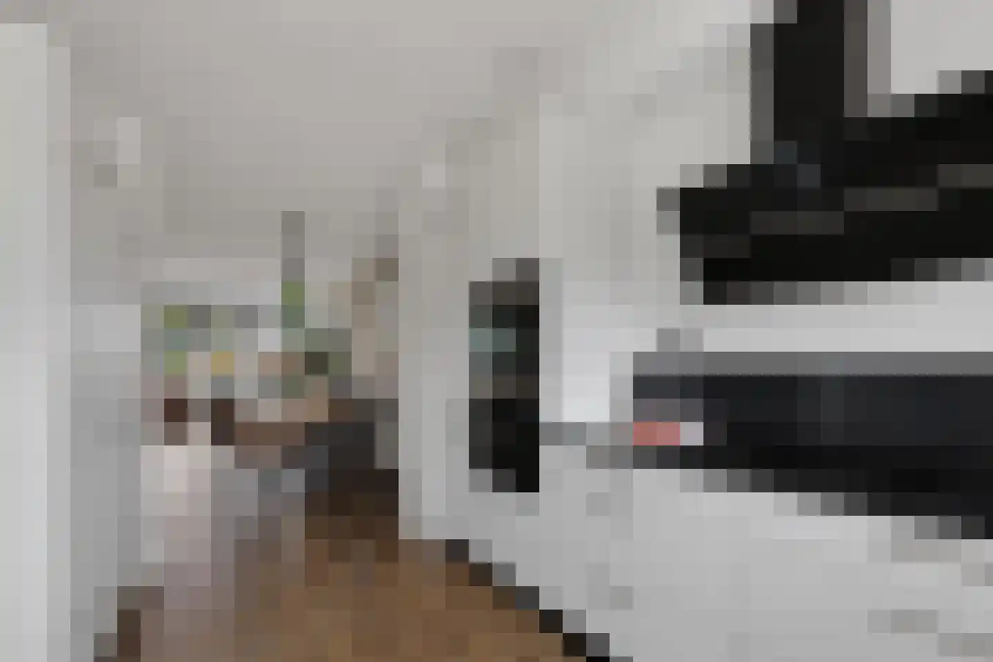 Ambachtssingel 83 Zevenhuizen thumbnail 12