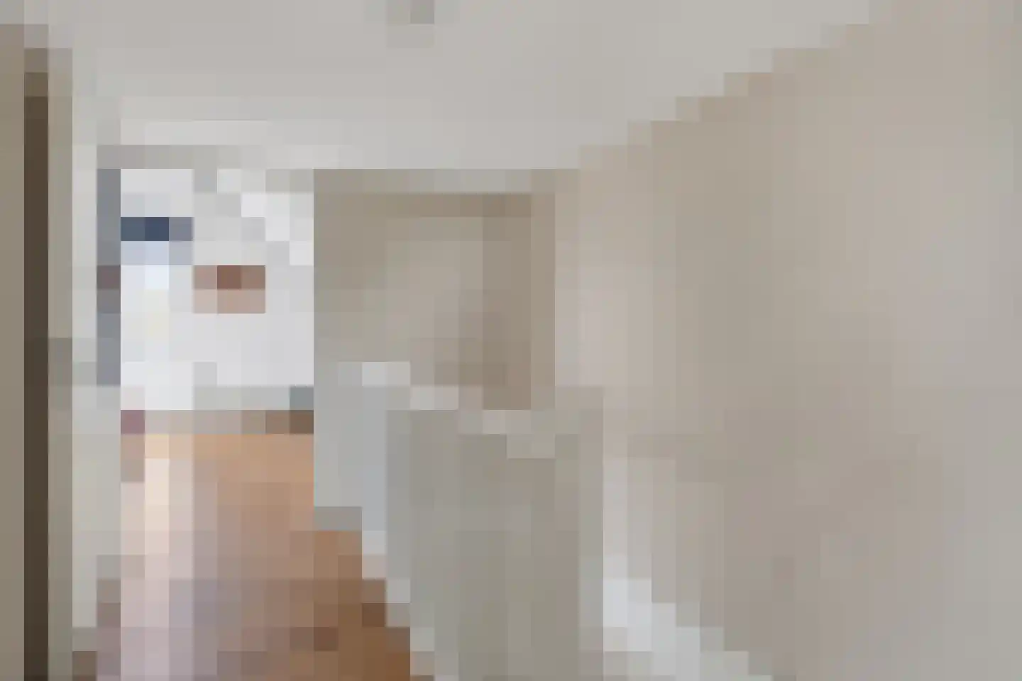 Ambachtssingel 83 Zevenhuizen thumbnail 21