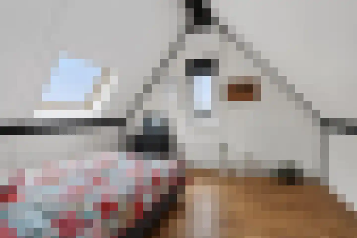 Ambachtssingel 83 Zevenhuizen thumbnail 22
