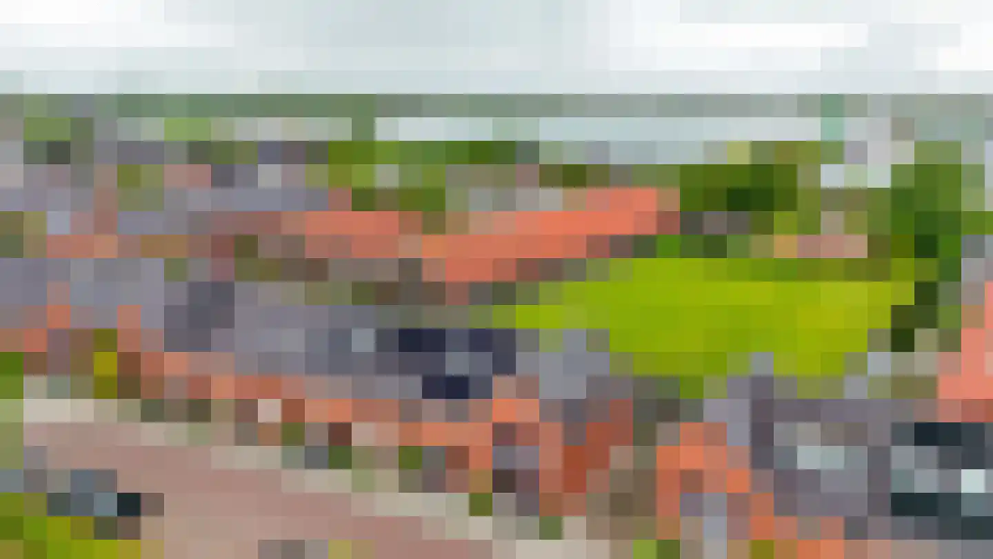 Ambachtssingel 83 Zevenhuizen thumbnail 34