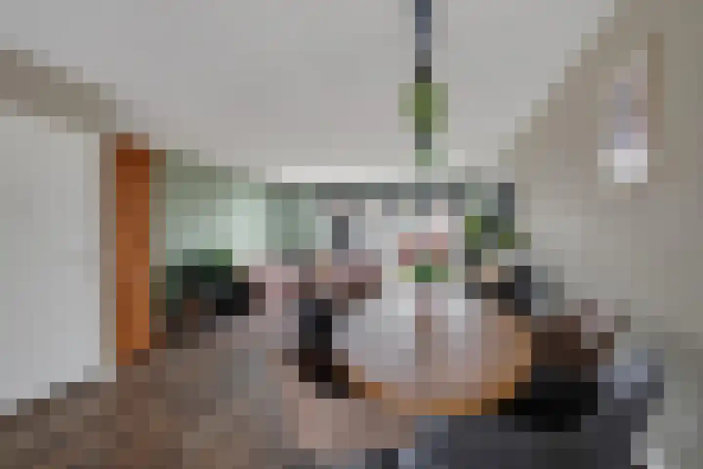 Ambachtssingel 83 Zevenhuizen thumbnail 8